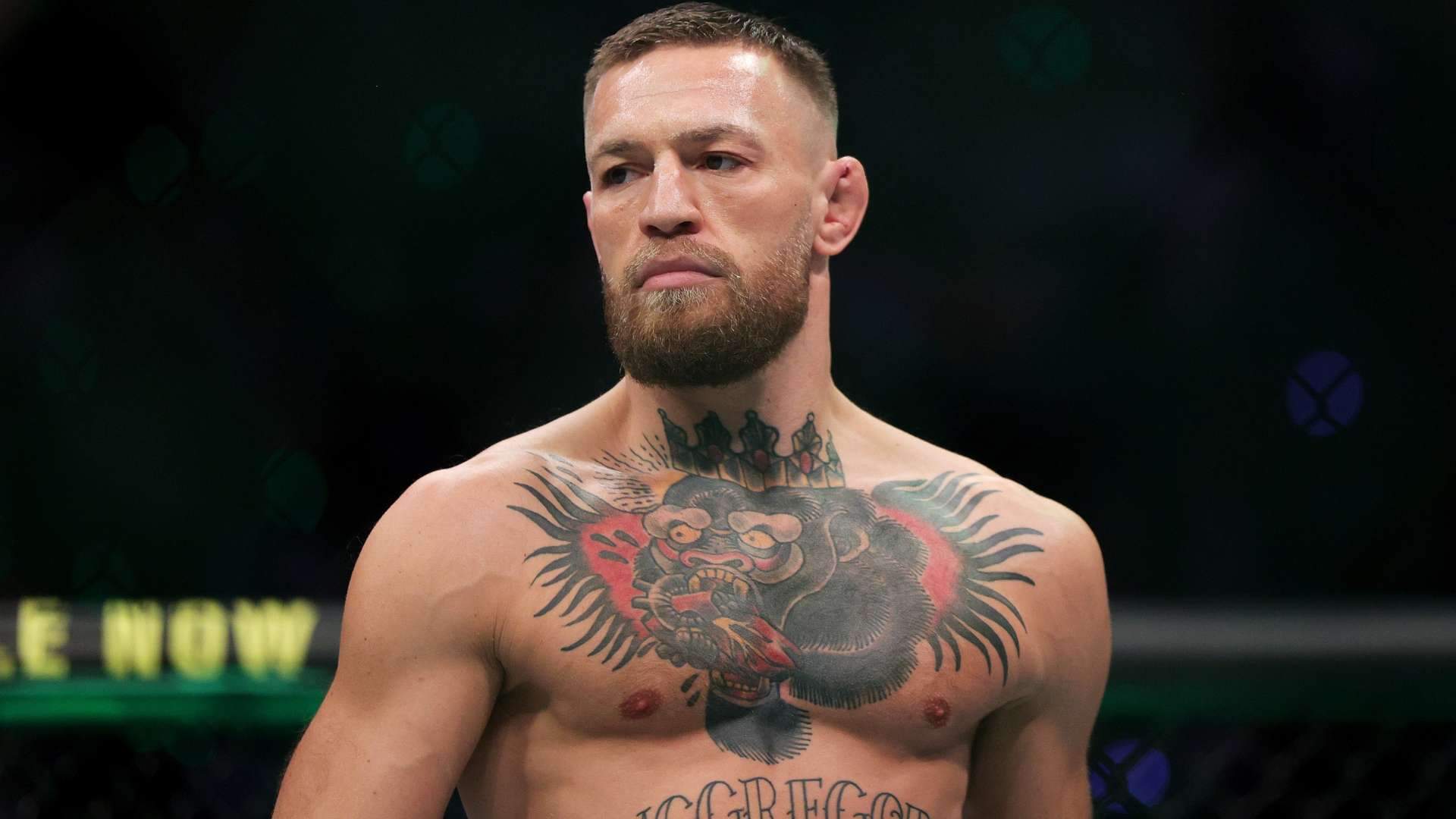 举足轻重的 举足轻重的